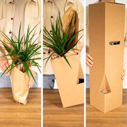 8 x Buitenbeentjesbox - Ø12 -